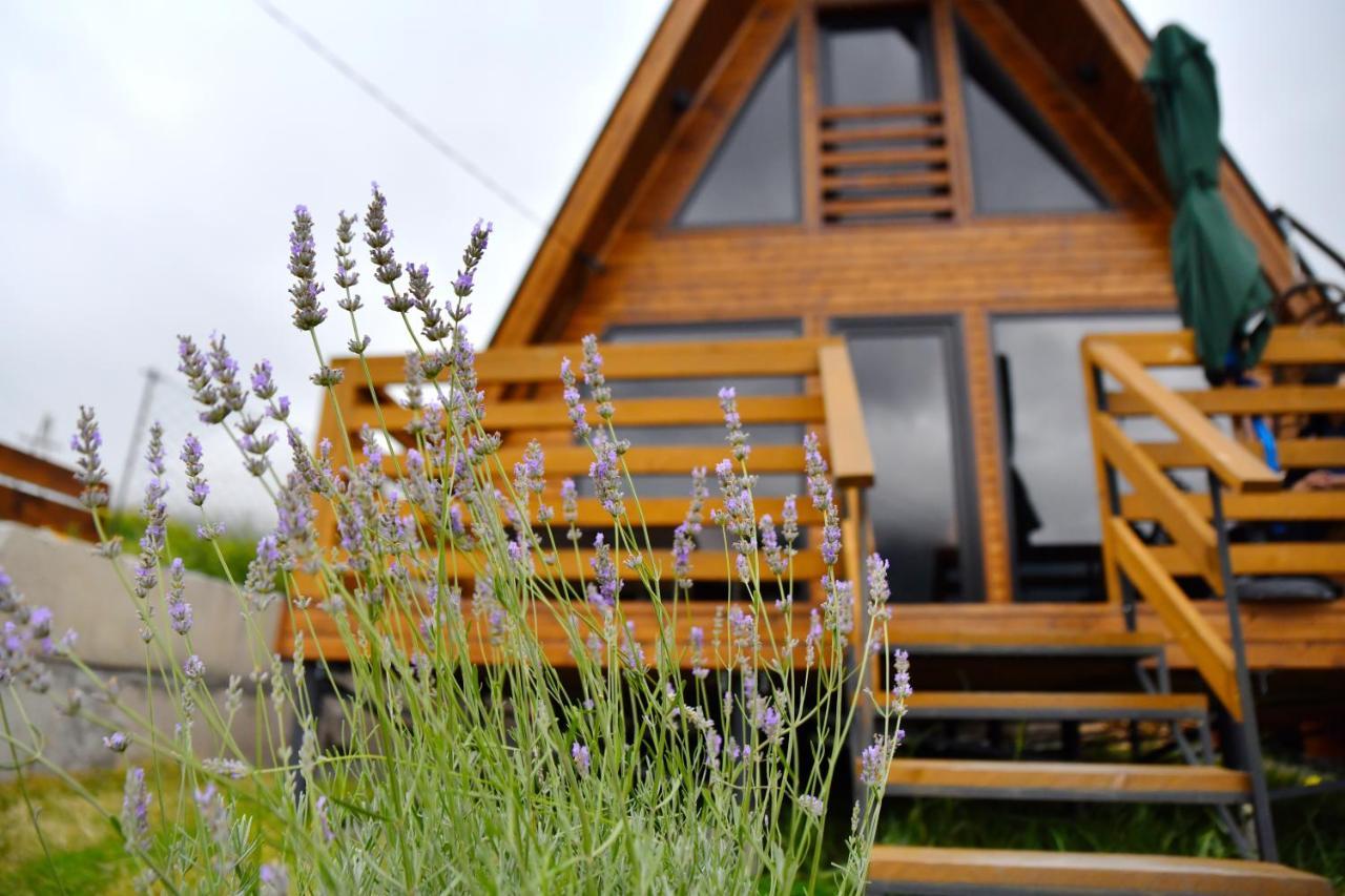 Kazbegi Spa Resort Cottages Exterior foto